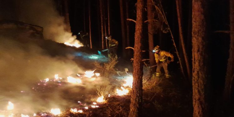 incendios forestales