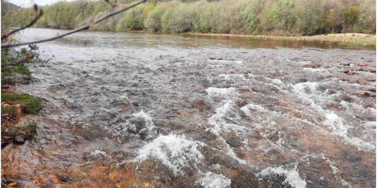 Los agricultores piden que se reduzcan las restricciones de agua por la sequía