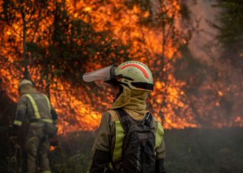 La Junta publica ayudas a las empresas afectadas por el fuego