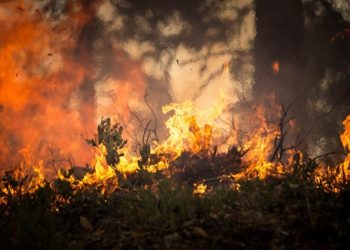 incendios en sariegos