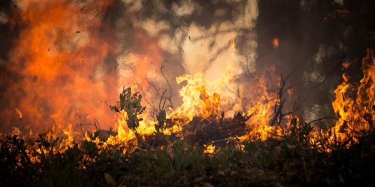 incendios en sariegos