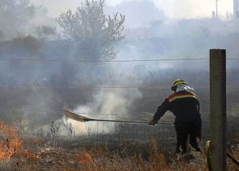 incendio entre oteruelo y trobajo