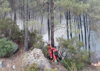 incendios forestales