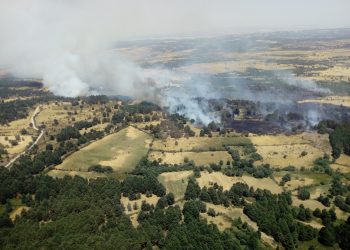 incendios forestales