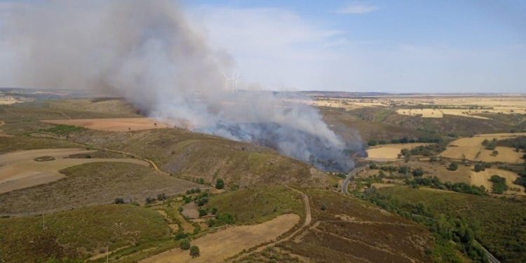 incendios forestales