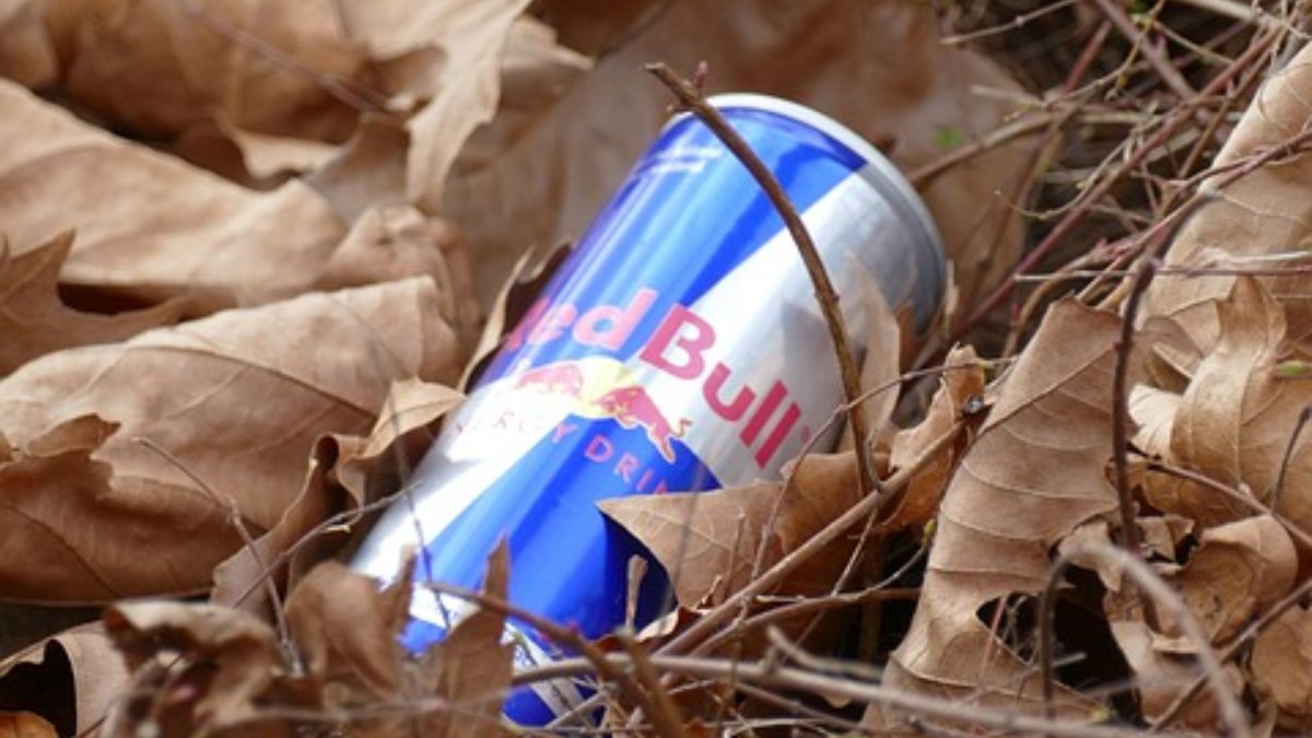 El impacto de la marca Red Bull 1