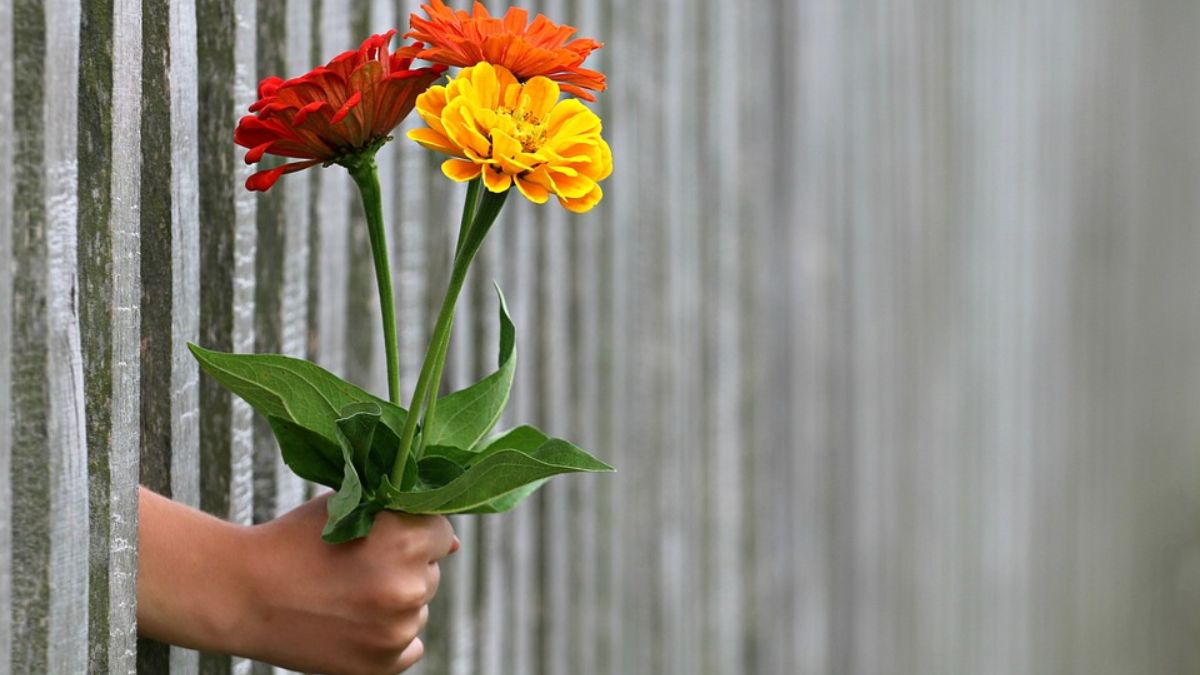 ¿Por qué se llevan flores al cementerio el día 1 de noviembre? 2