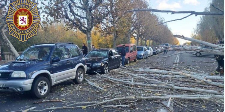 Consecuencias del fuerte viento