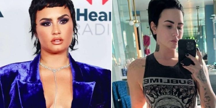 Demi Lovato sorprende con su cambio físico