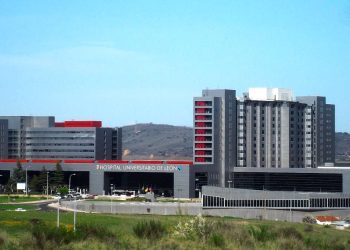 gusanos del hospital