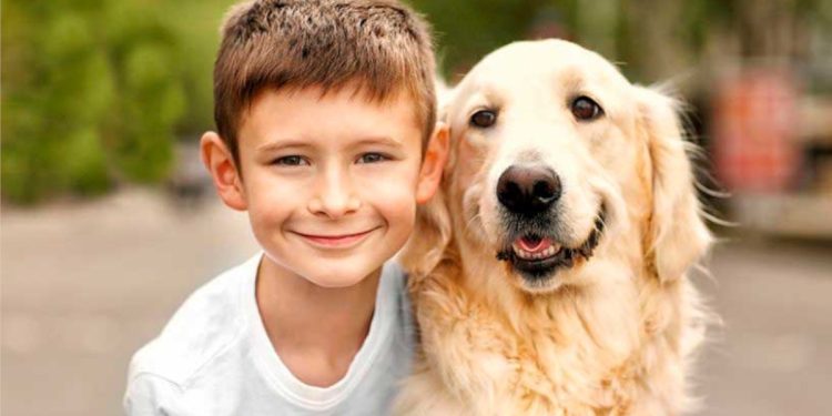 En nuestra sociedad el perro tiene más valor que un niño