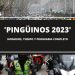 Pingüinos 2023