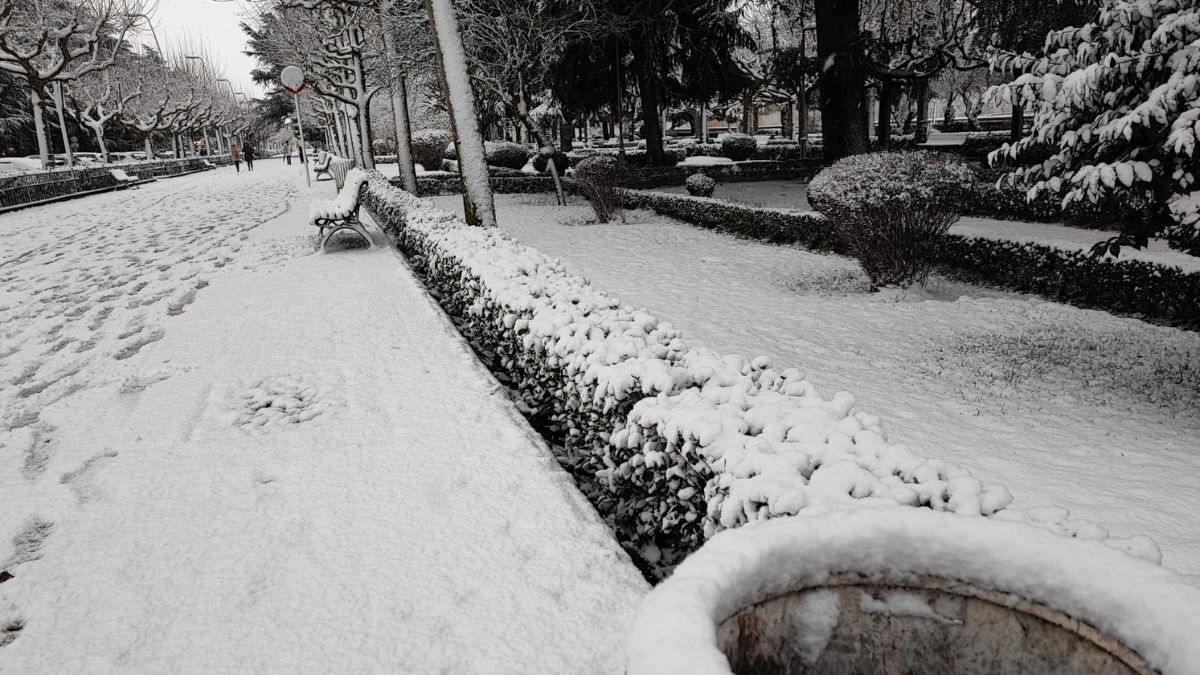 Las mejores fotografías de la primera nevada del año en León 15