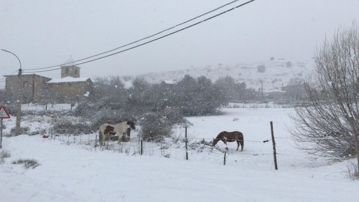 La gran nevada que ha dejado incomunicado Ferreras del Puerto 6