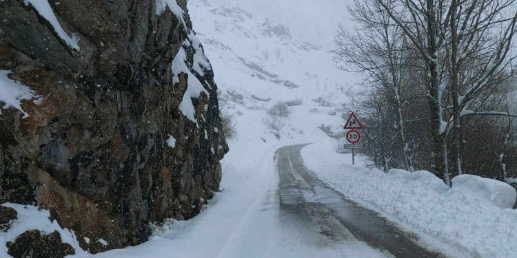 Llegan las primeras nevadas a la provincia de León 1