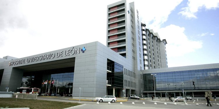 Gusanos en el Hospital de León