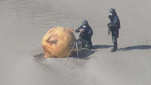 La gran bola misteriosa encontrada en una playa 1