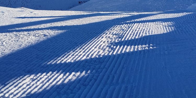 Congelados por las bajas temperaturas