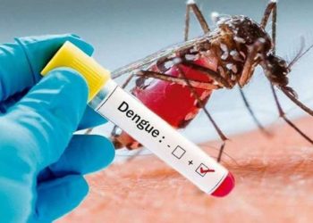 dengue en españa