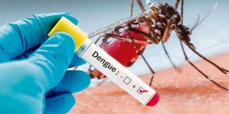 dengue en españa