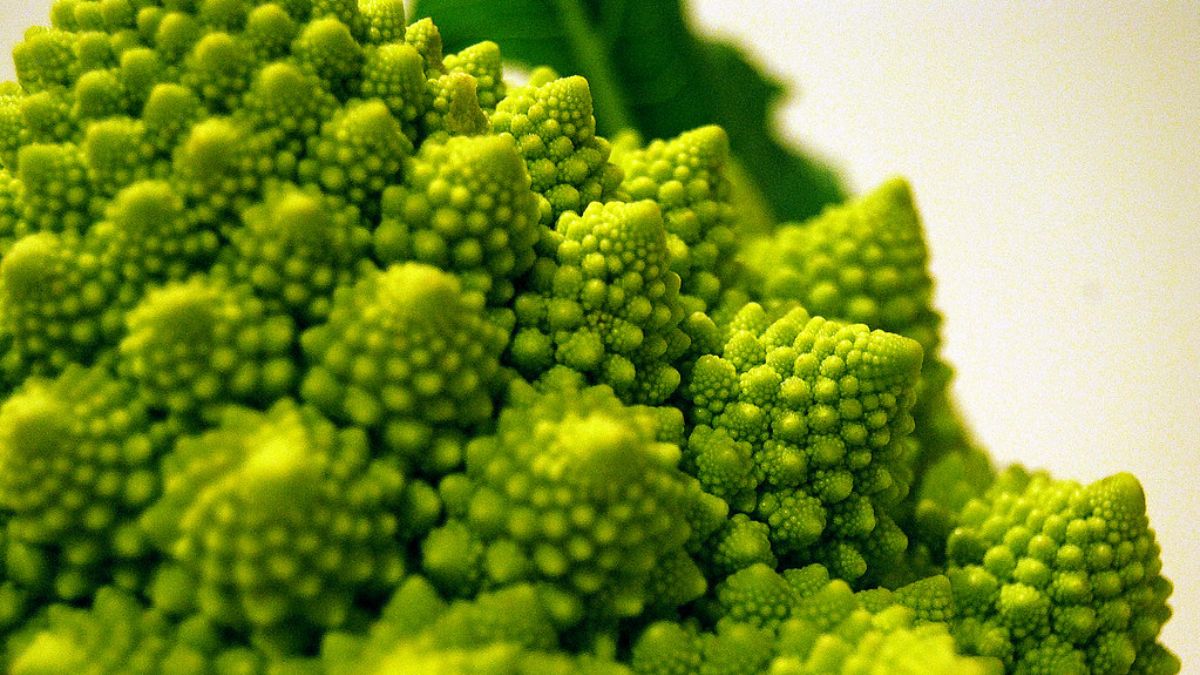 La intrigante perfección geométrica de la naturaleza del romanesco 1