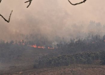 incendios de Asturias