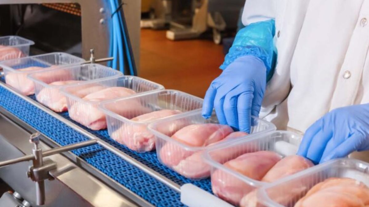 Crisis en las fábricas de pollo por el posible desabastecimiento 1