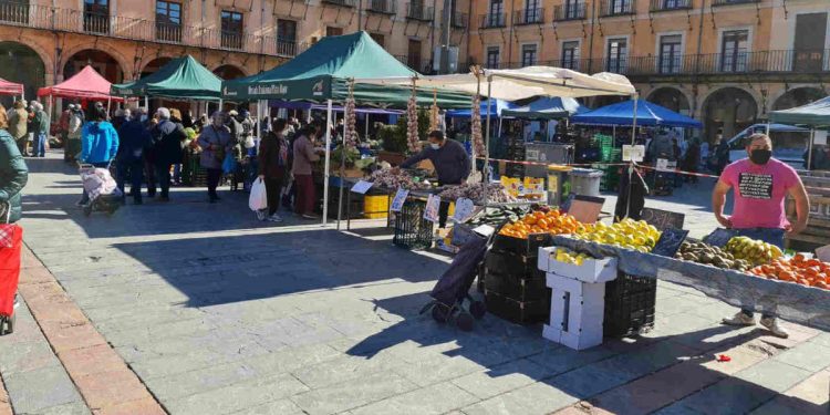 La Plaza mayor