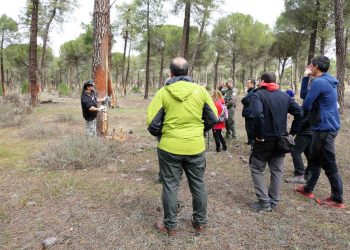 Actividades el Día de los Montes