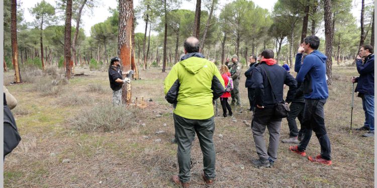 Actividades el Día de los Montes