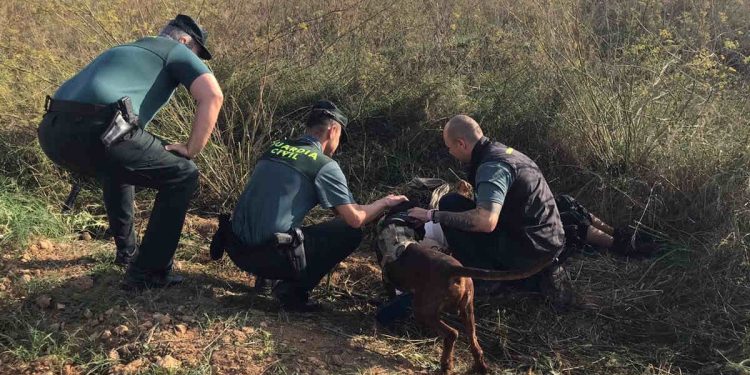 Búsqueda de desaparecidos en León