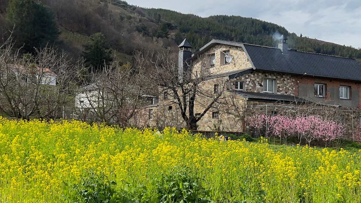 La primavera florece en este hermoso pueblo de León 2