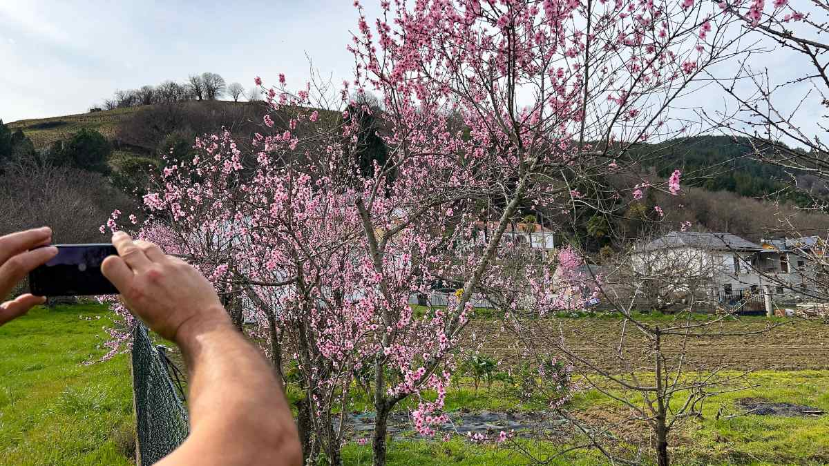 La primavera florece en este hermoso pueblo de León 3