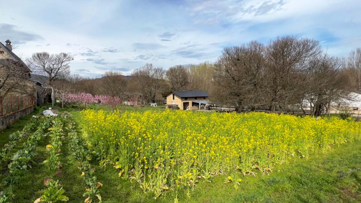 La primavera florece en este hermoso pueblo de León 4