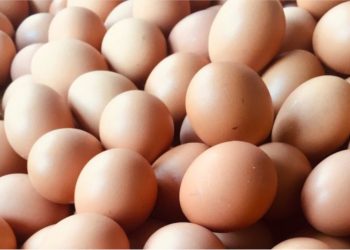 Los huevos tienen un límite en este supermercado
