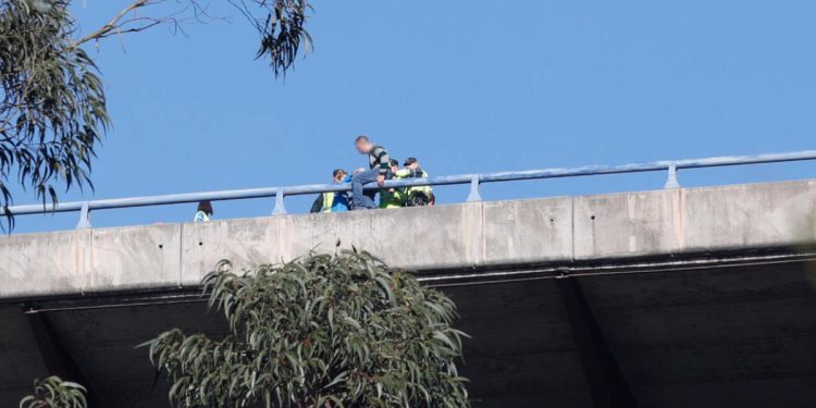 Intento de suicidio del leonés en la autovía