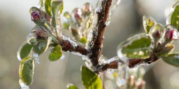 El aspecto invernal sigue en el inicio de la primavera meteorológica