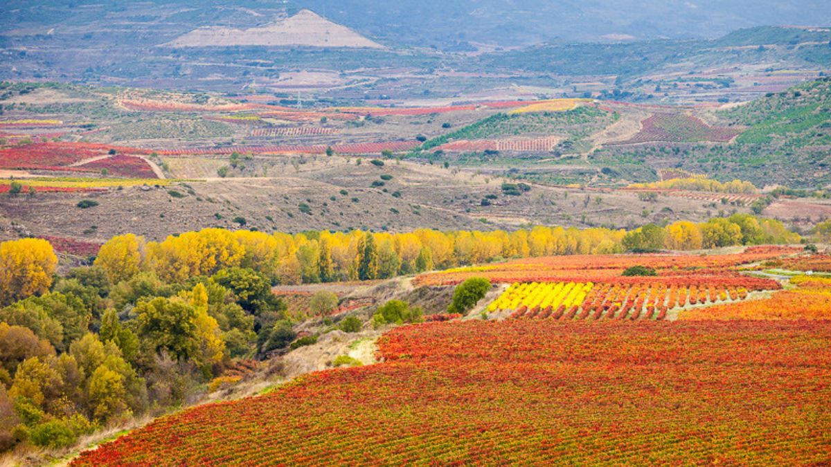 Cuál es la región más acogedora que encontrarás en España 1