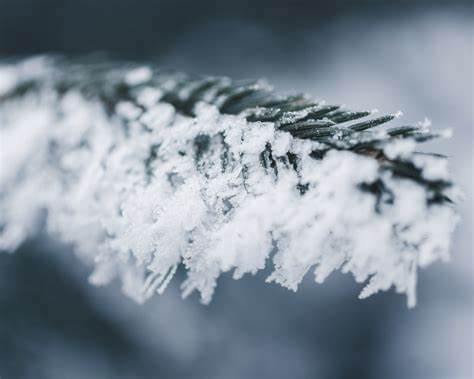 León se volverá a cubrir de nieve en abril 1