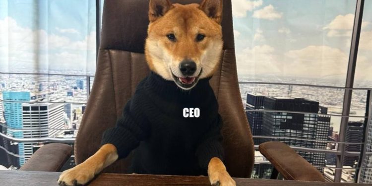 El perro de Dogecoin como nuevo CEO de Twitter