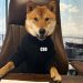 El perro de Dogecoin como nuevo CEO de Twitter