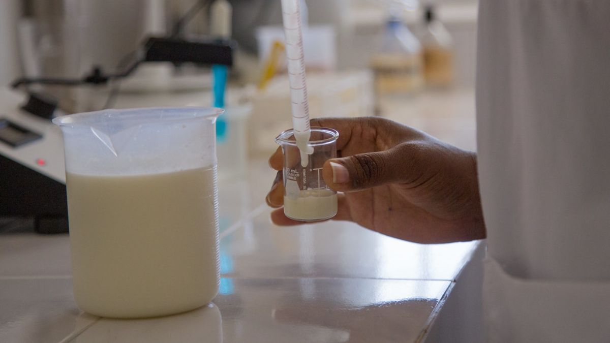 El secreto de la leche semidesnatada que ha desvelado un experto 1