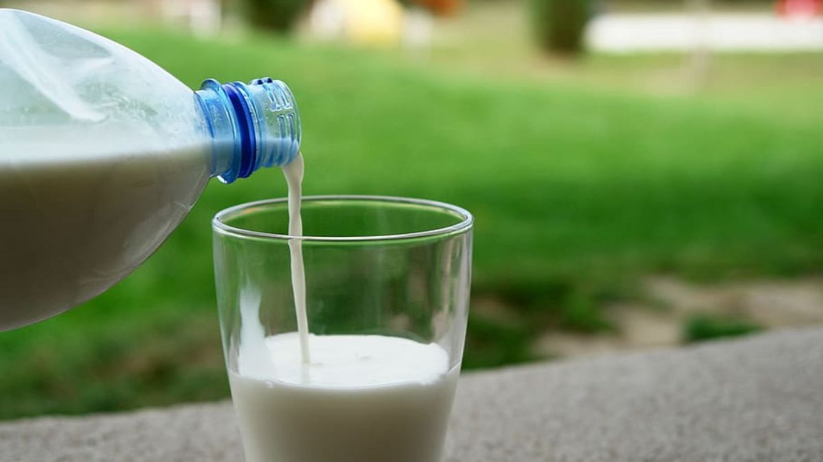 LECHE SEMIDESNATADA  Cuidado con la leche semidesnatada: un experto lanza  este importante aviso