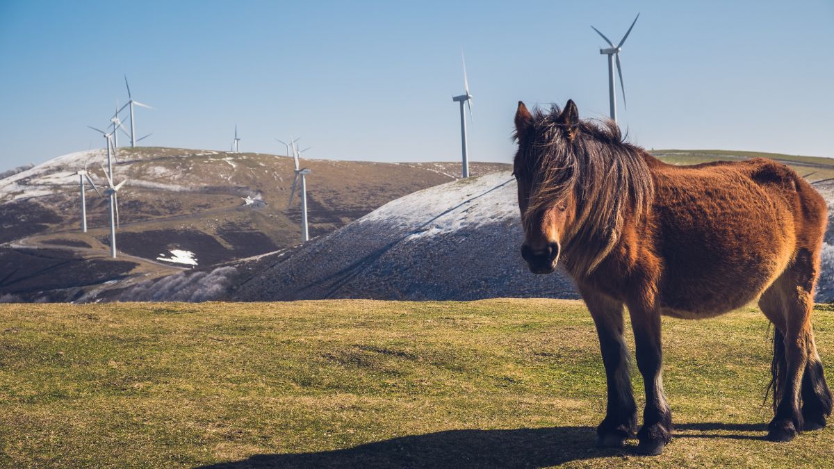 España consigue un hito histórico al utilizar 100% energía renovable 1