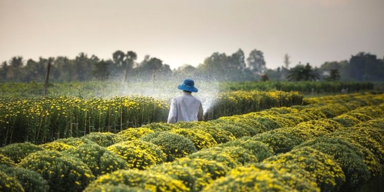 trituradoras agrícolas