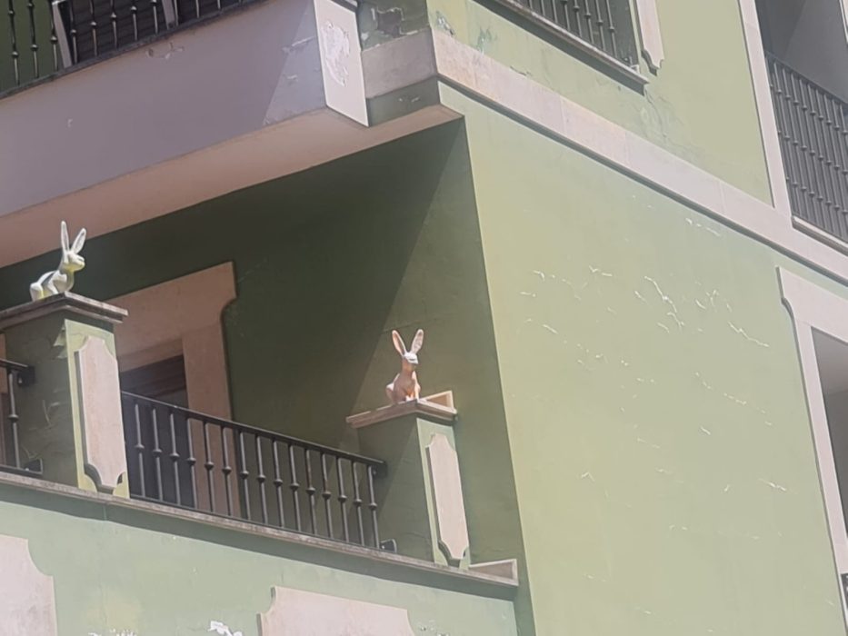 Los conejos que vigilan la ciudad de León desde las alturas 4