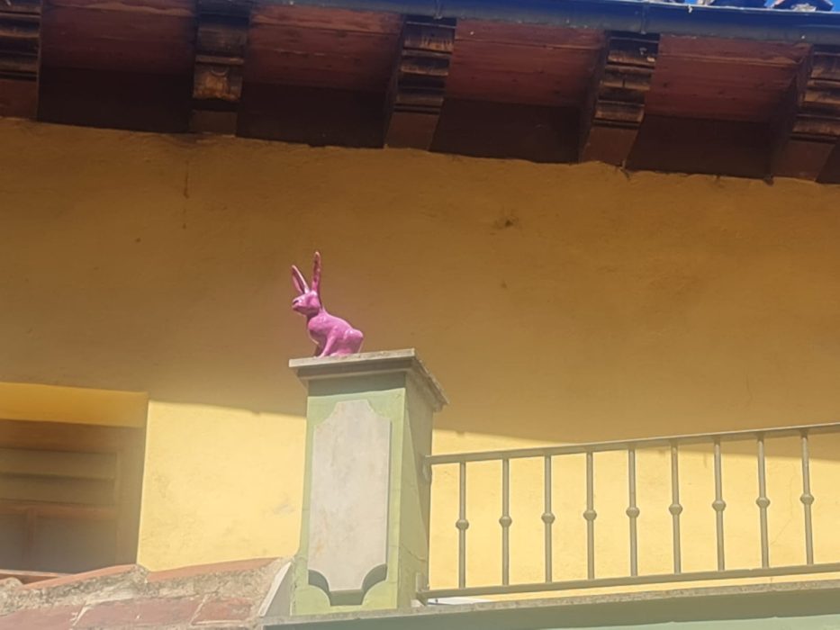 Los conejos que vigilan la ciudad de León desde las alturas 2