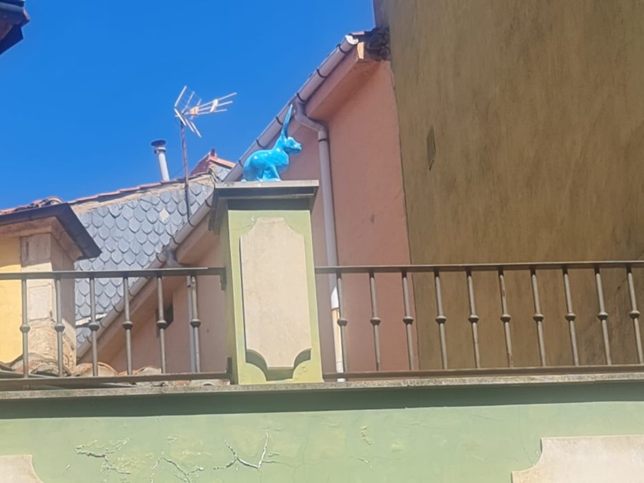 Los conejos que vigilan la ciudad de León desde las alturas 1