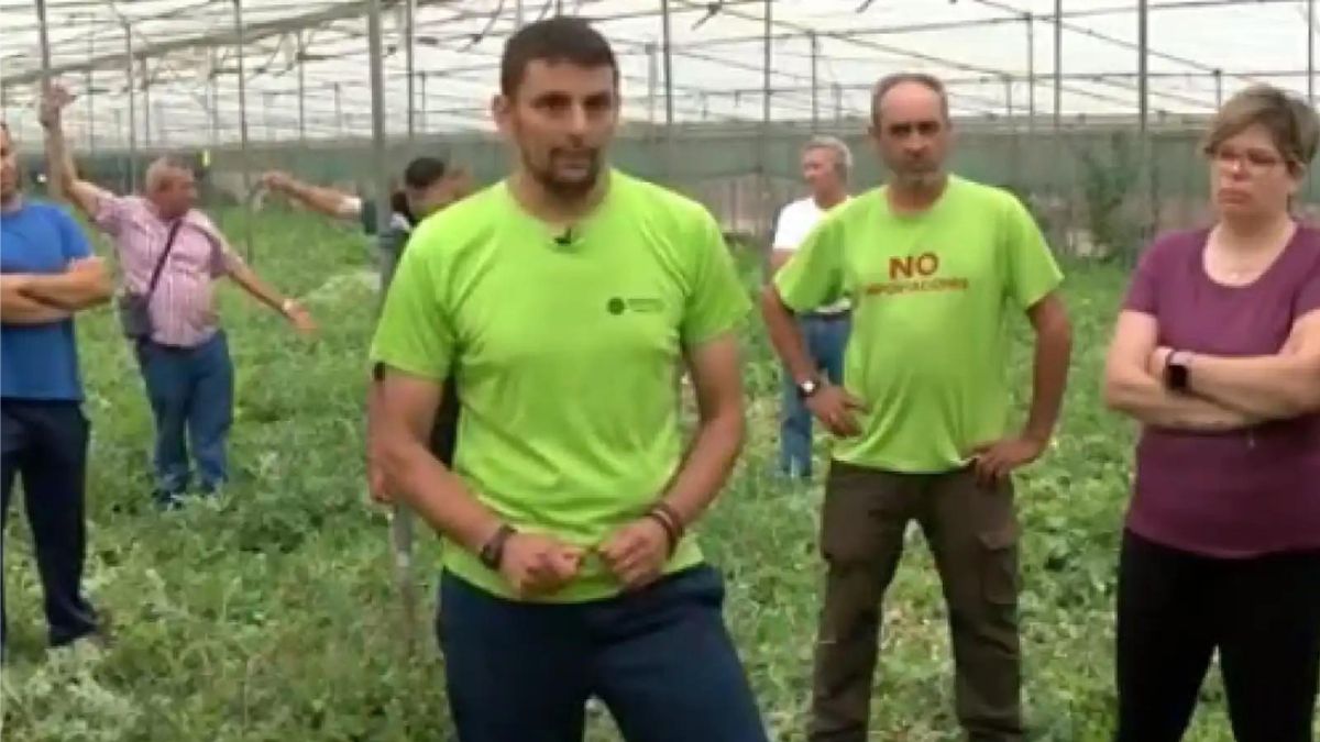 La lamentable muerte del campo: regala sus sandías como única opción 1