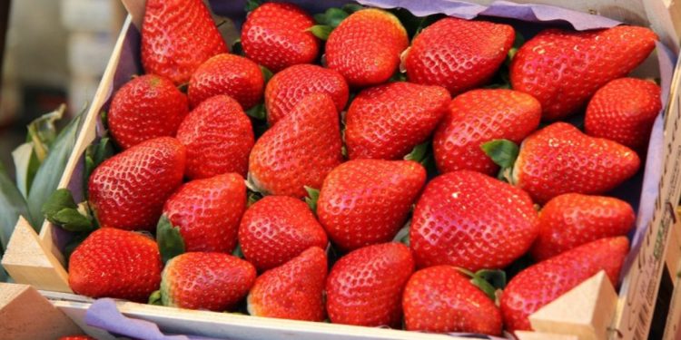 El gran boicot a las fresas españolas